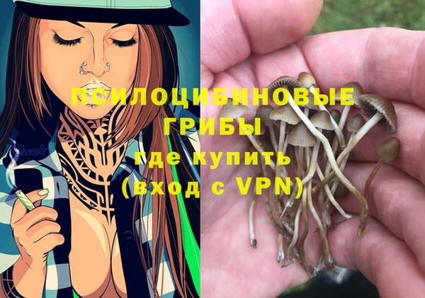 не бодяженный Арсеньев
