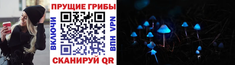 цена наркотик Оленегорск МЕГА онион Галлюциногенные грибы Cubensis